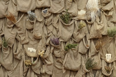 A row of burlap sacks that hold a wide variety of flowers and text.