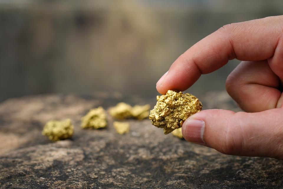 The pure gold ore found in the mines is in the hands of people.